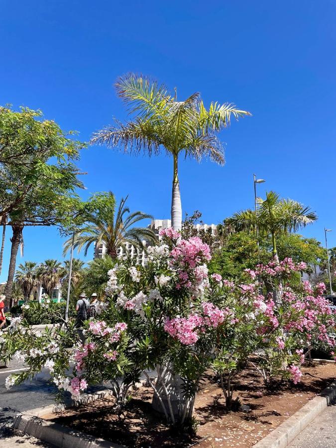 Apartament El Dorado Estrella Playa de las Americas  Zewnętrze zdjęcie